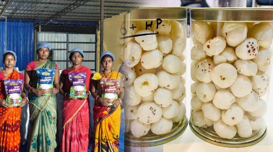 पूर्णिया का मखाना पहली बार ग्रीस पहुंचा